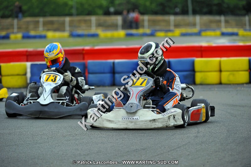 DSC_ (2514).jpg